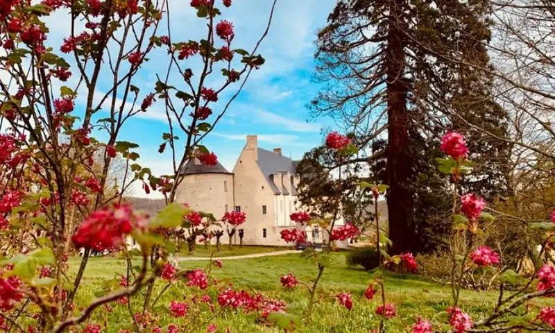 Château du Chambon