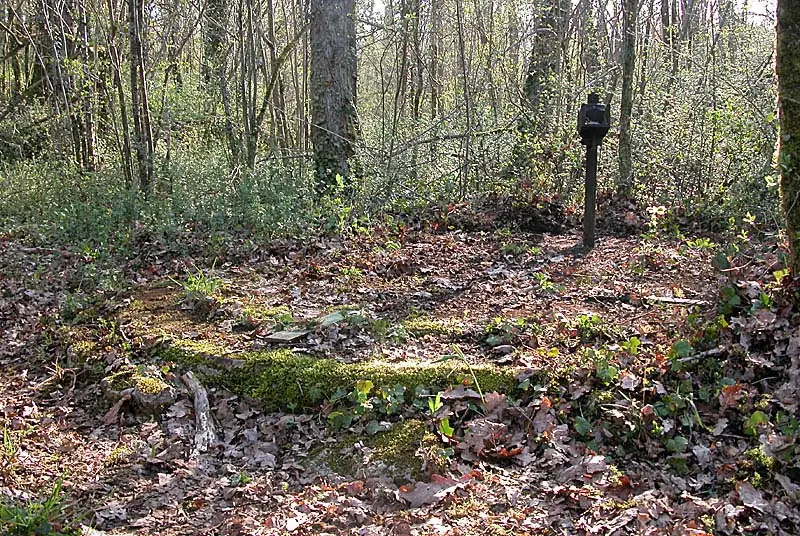 Puits de la Combe des Dîmes à Noidant-le-Rocheux