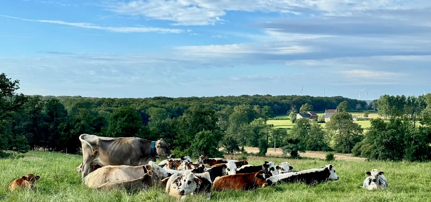Visite de la ferme La Vallée des Vaches