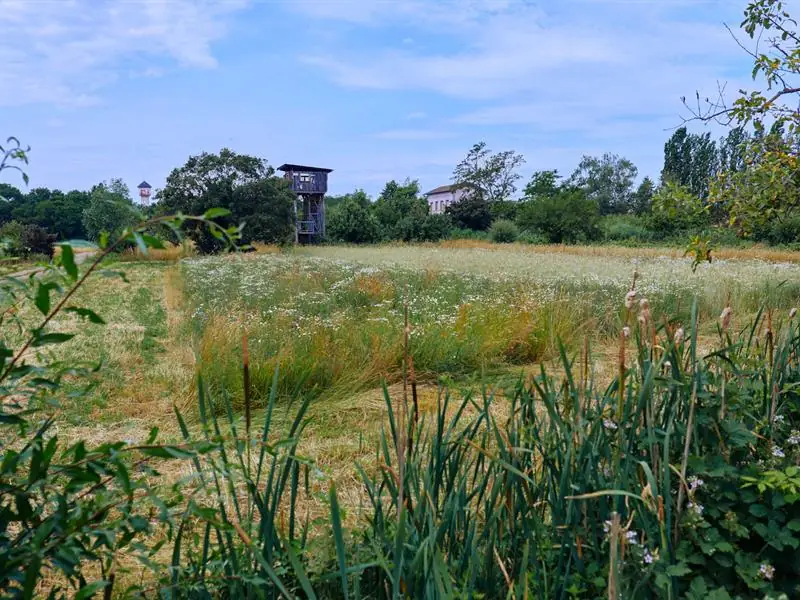 Rendez-vous nature : À la découverte de la nature