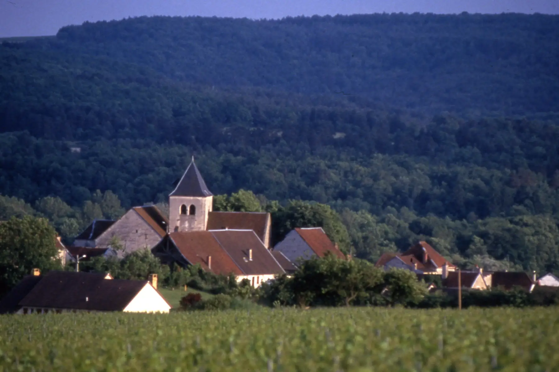 Eglise de l'Assomption de la Vierge