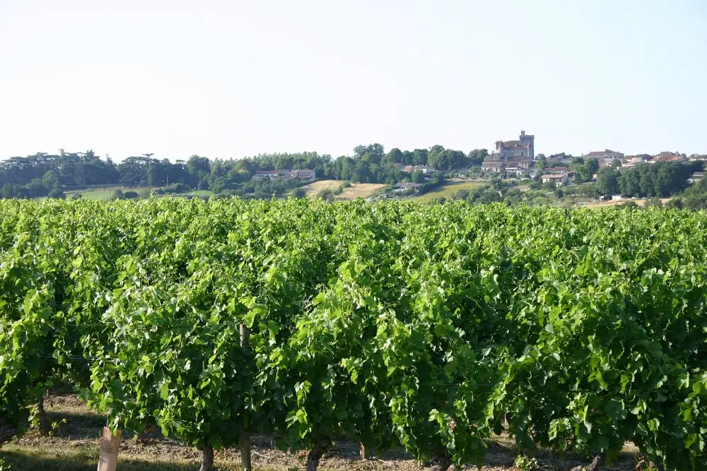 Village de Xaintrailles