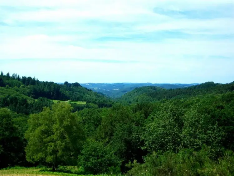L'Eglise aux Bois