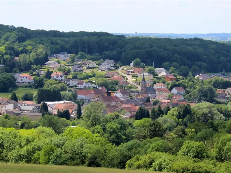 Les Rendez-vous Nature - Immersion forestière
