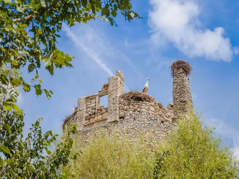 Château de la Rivière