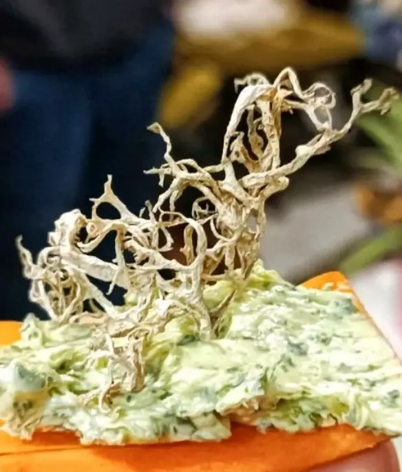 Tours de Merle - Balade gourmande: A la découverte des plantes sauvages comestibles