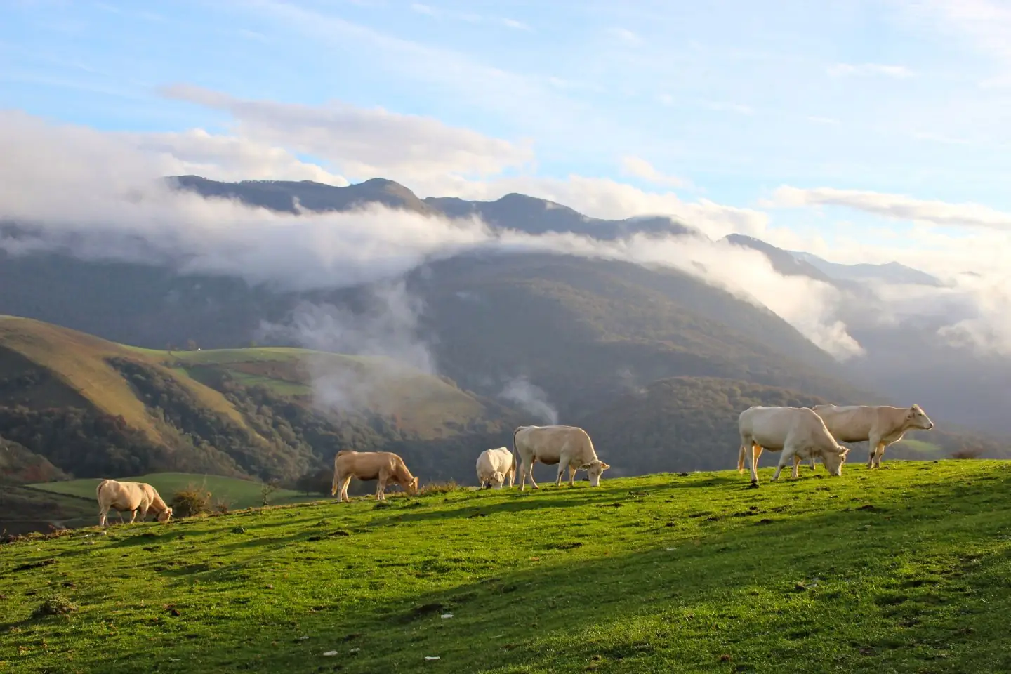 Evènement CPIE Pays Basque : "Irati dévoile ses merveilles"