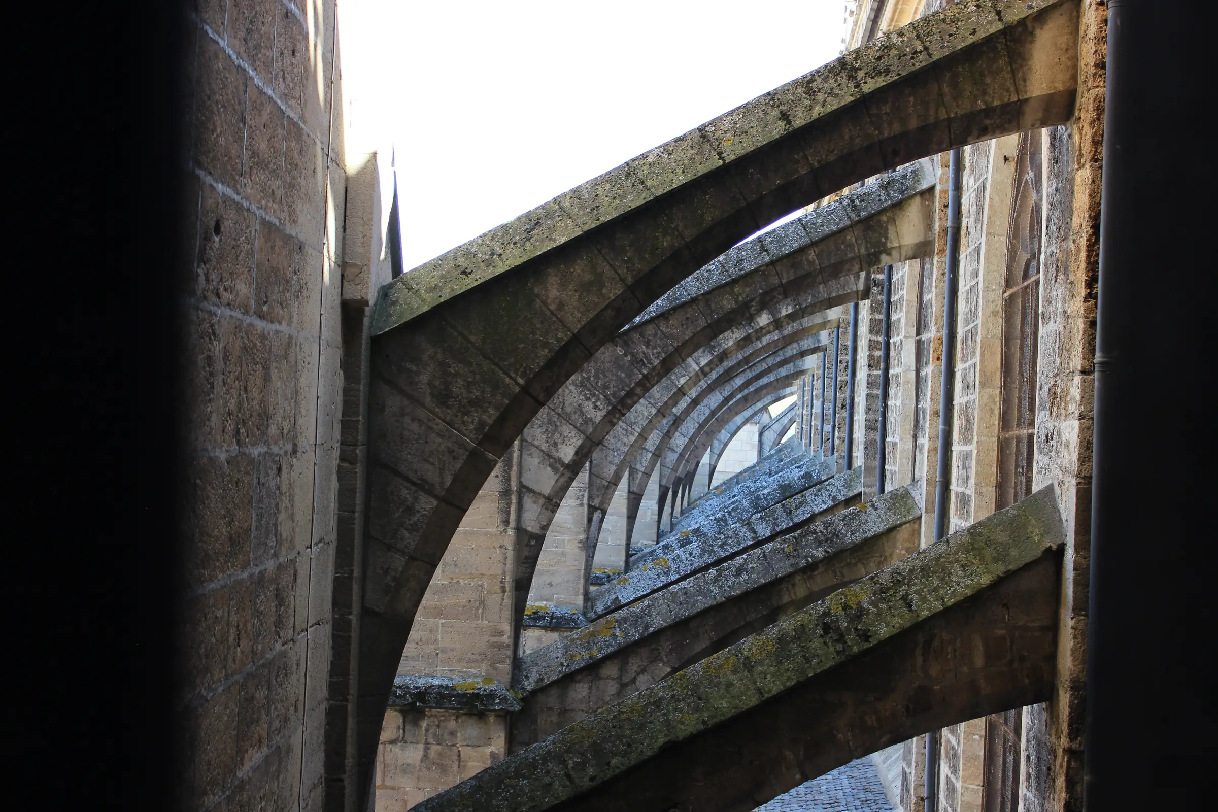 VISITE GUIDÉE : CLOCHER DE LA CATHÉDRALE