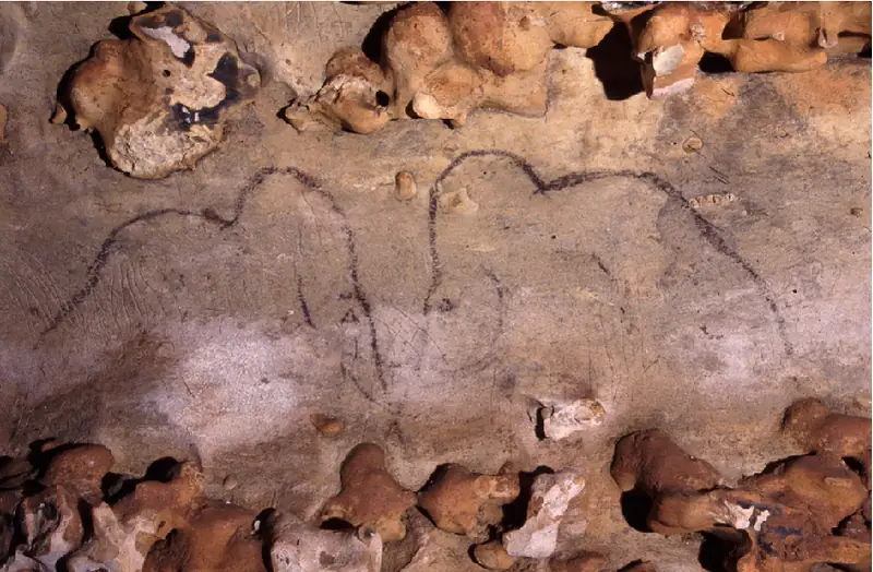 Grotte de Rouffignac