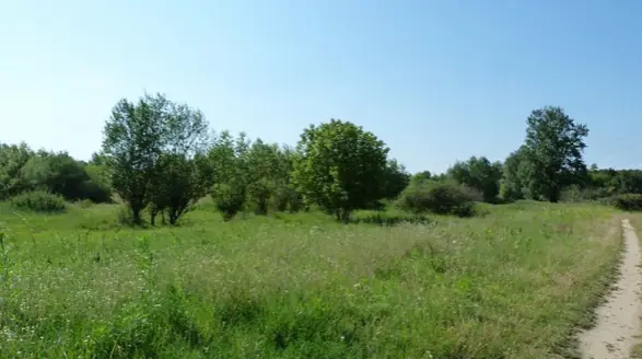 Dampierre-en-Burly