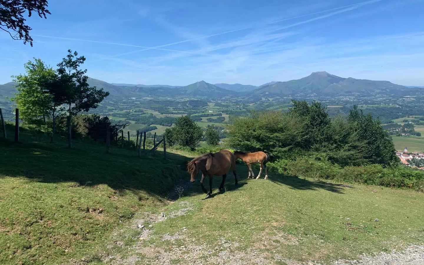 Randonnée "À la rencontre des pottoks"