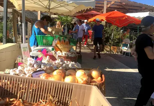 Marché alimentaire de producteurs  " Le Pic Vert du jeudi soir "