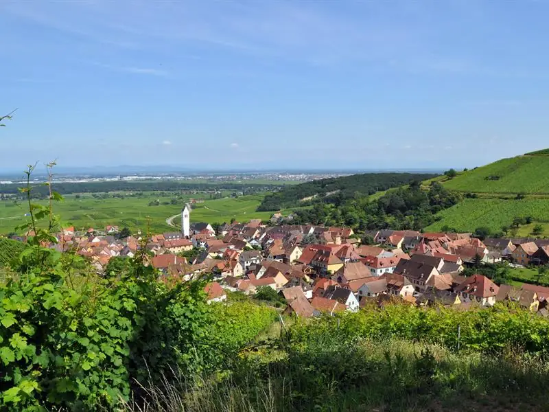 Cité viticole - La vallée des chats