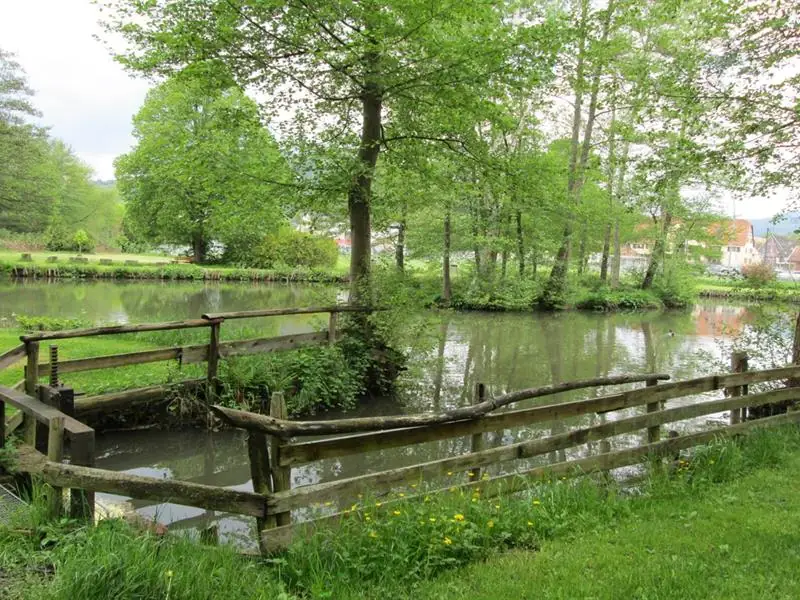 Pêche à l'étang