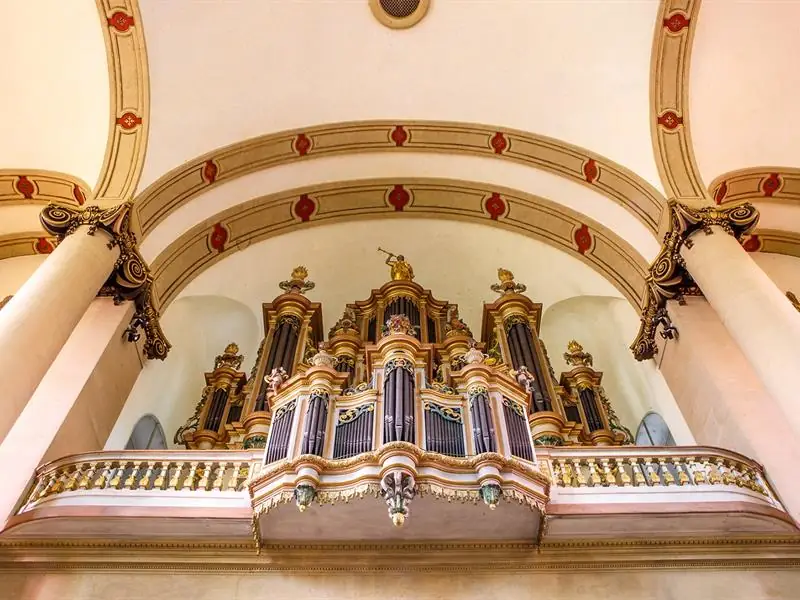 Orgues de Saint-Maximin