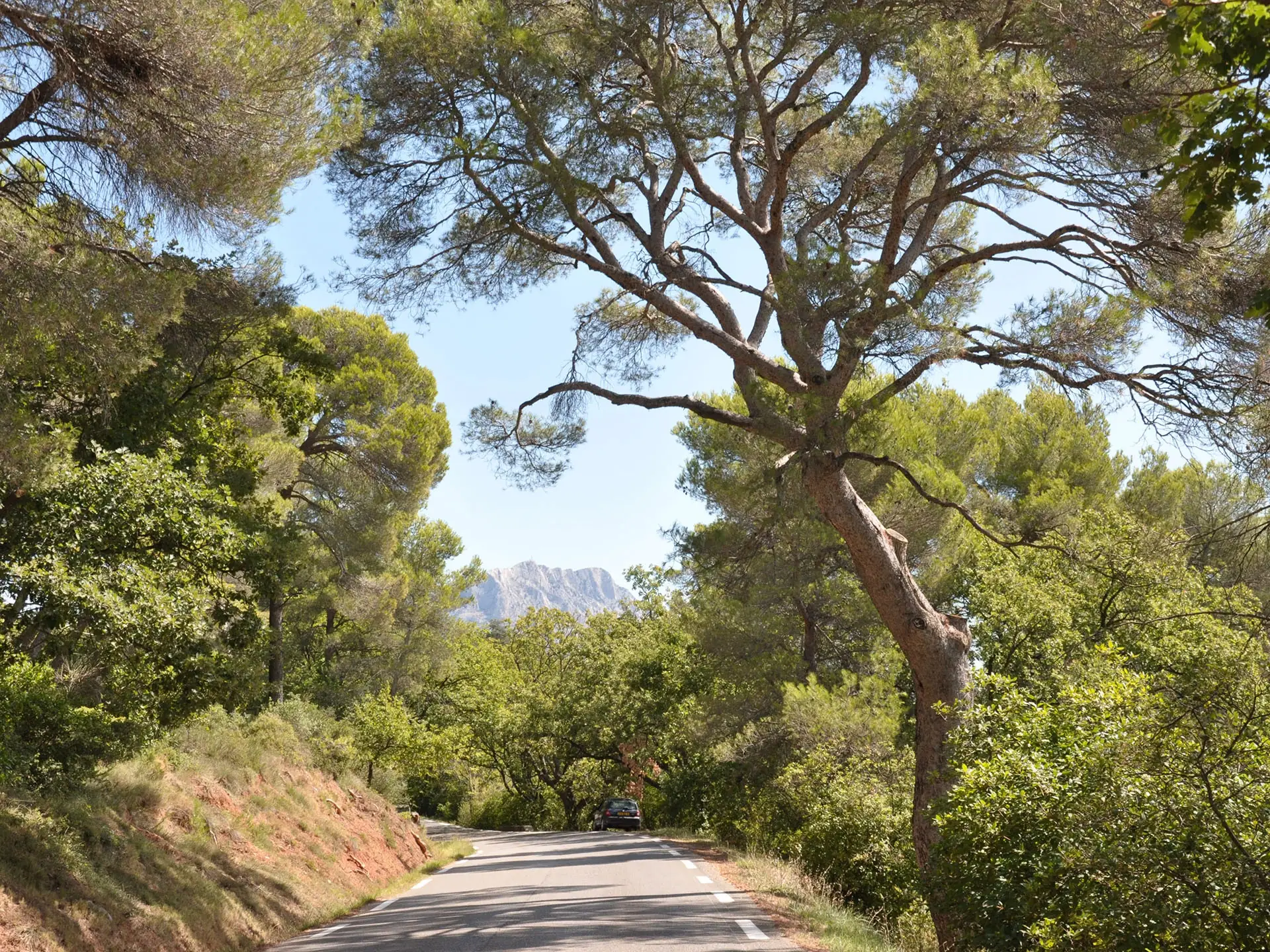 La Route Cezanne