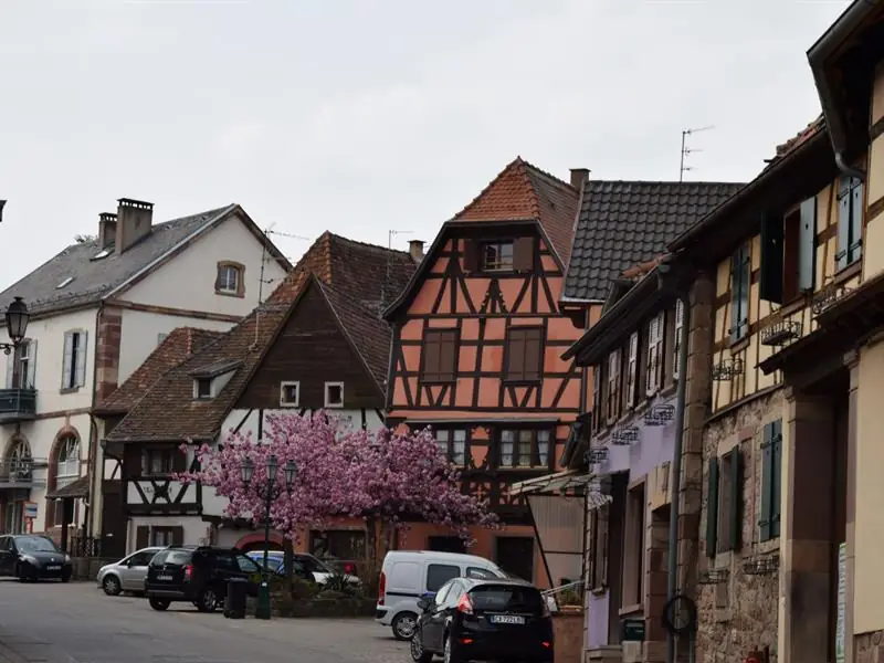 Maisons à colombages à Westhoffen