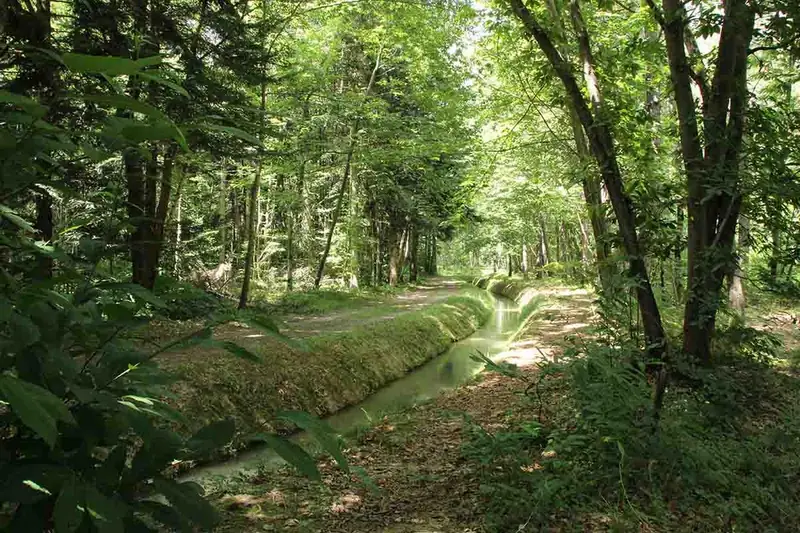 MAISON DE L'ARBORETUM