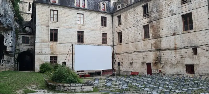 Cinéma en plein air : Des minions et des monstres