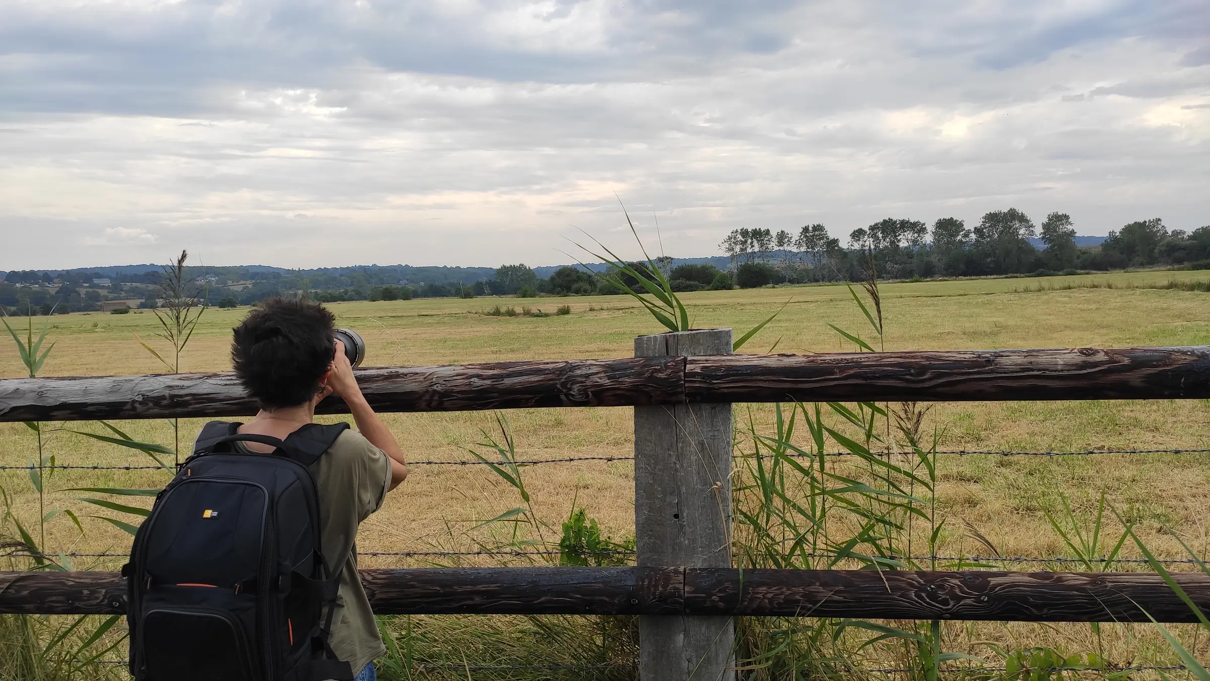 Les richesses du marais de Blonville-Villers