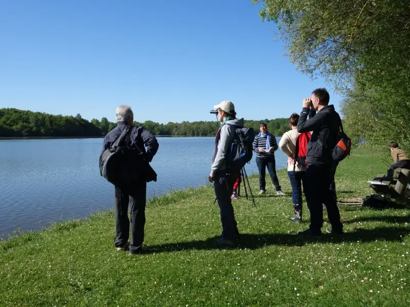 Enquête sur le lac