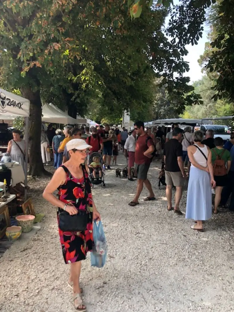 Brocante professionnelle