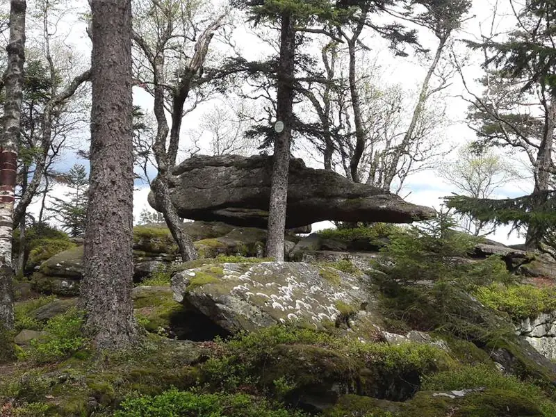 Club Vosgien : Les rochers du Taennchel