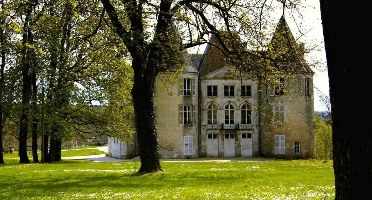 Château de Reynel