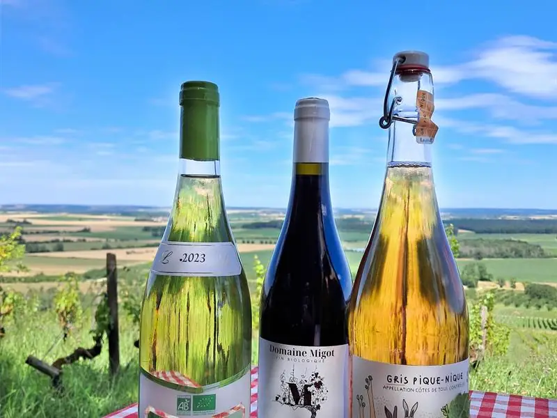À Table dans les Vignes