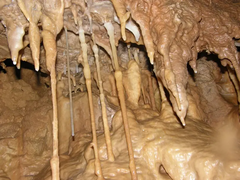 Eté actif: Spéléologie à la grotte de Beaussac