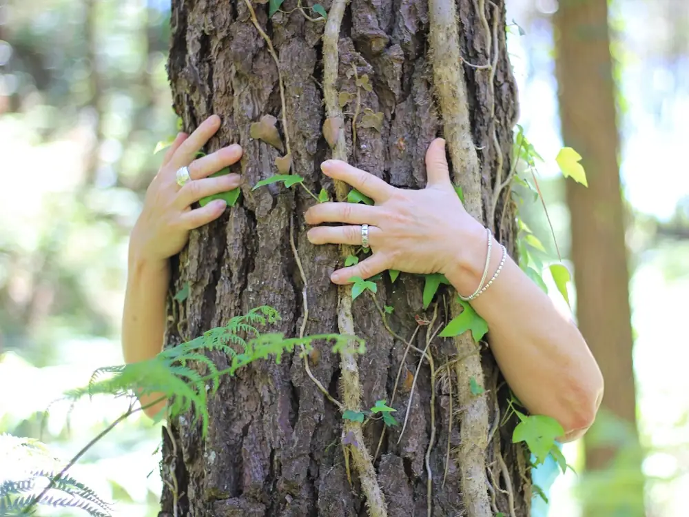 Bain de forêt
