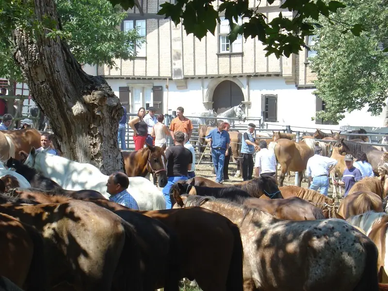 Foire aux chevaux