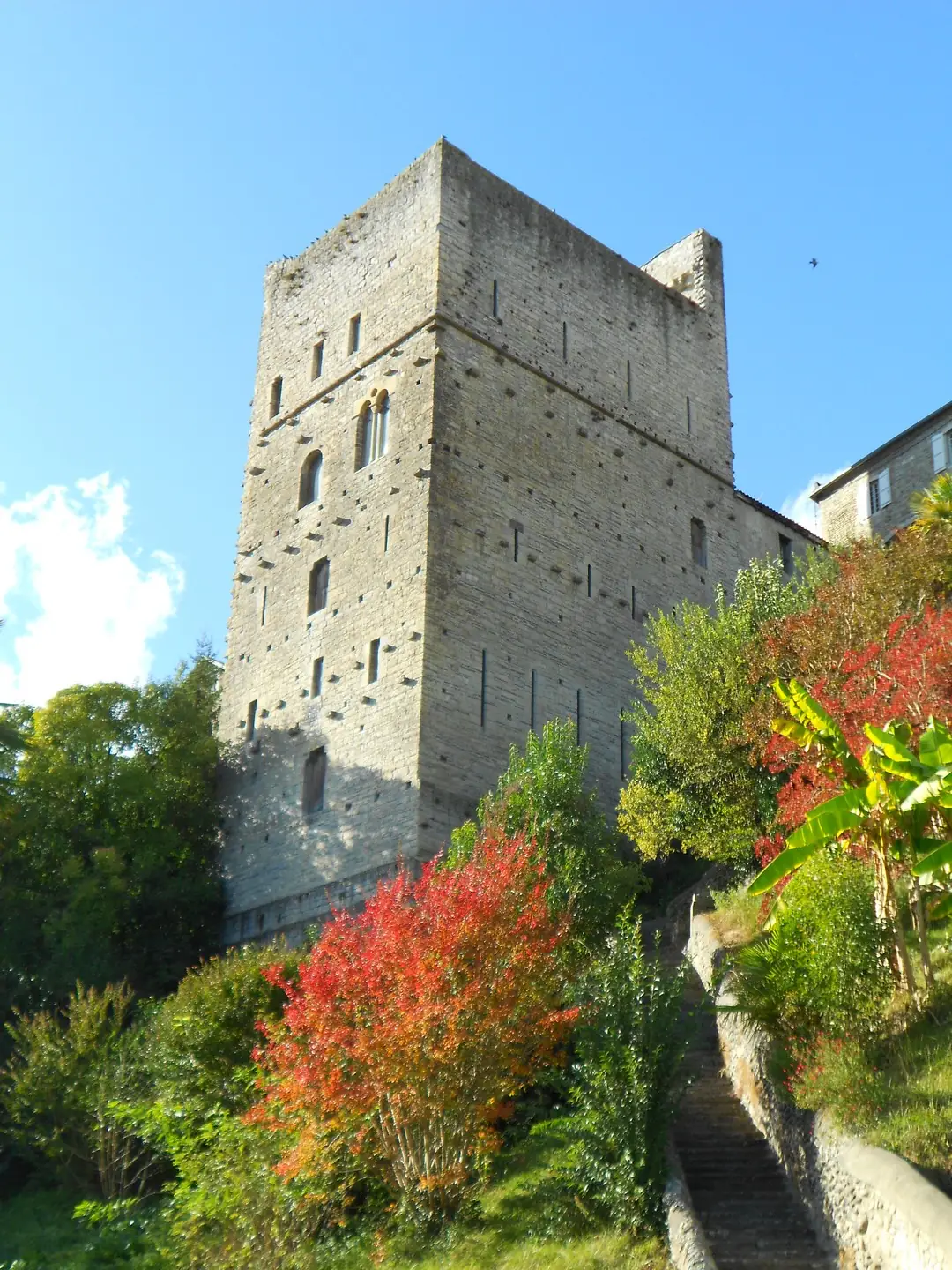 Visite commentée : A la découverte de la cité médiévale et billet d'entrée à la Tour Monréal