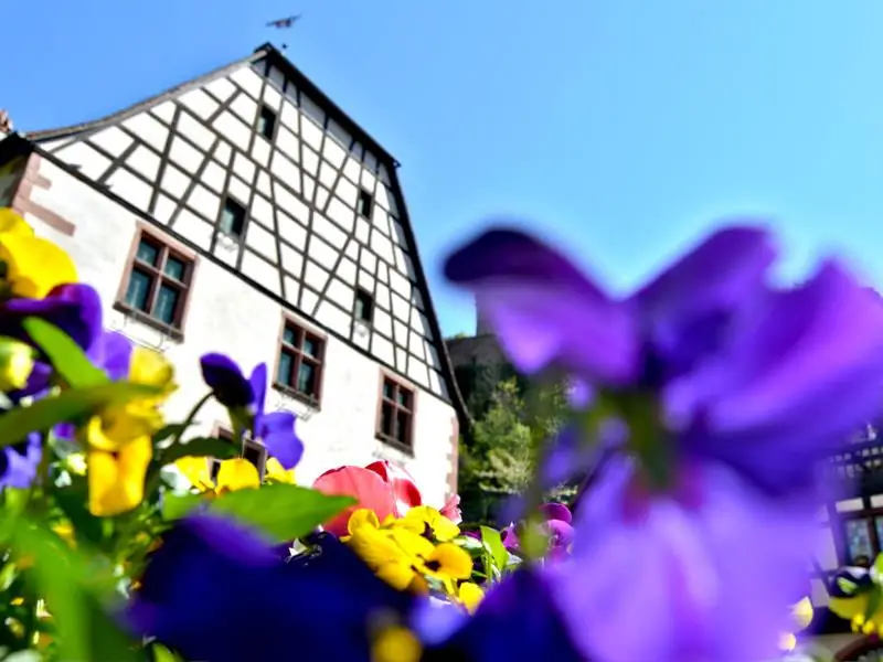 Badhus
