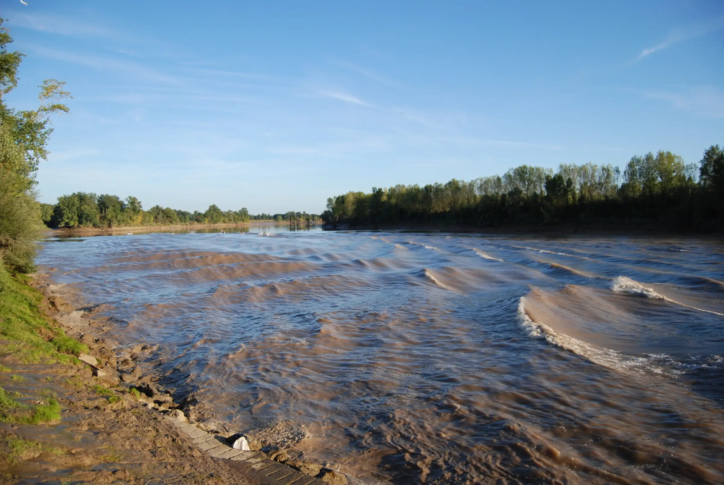 Descente de la Garonne en canoë avec observation du mascaret