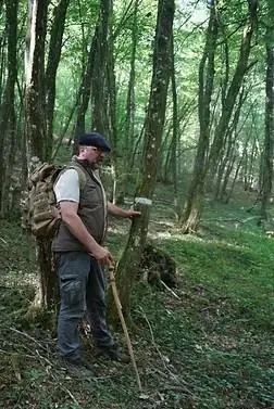 Balade nature - Promenons-nous dans les bois… Forêt, vergers et patrimoine rural