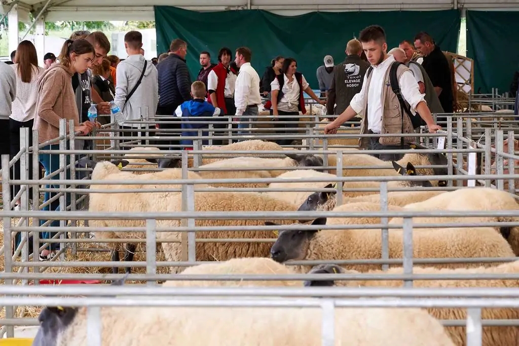 Foire Agricole de Sedan