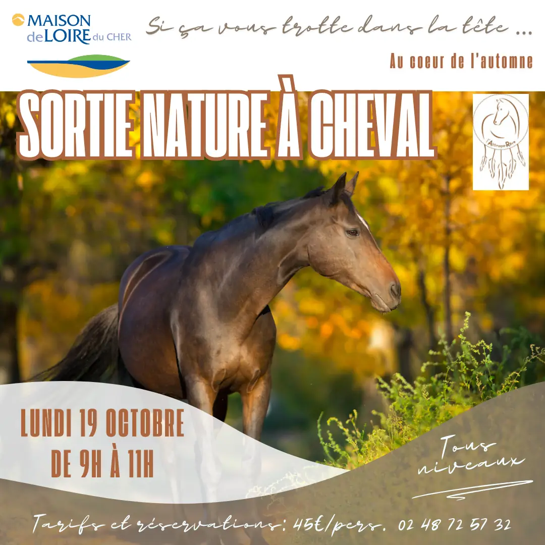Sortie équestre "Si ça vous trotte dans la tête..."