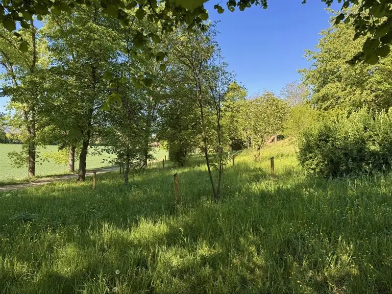 Sortie nature sur le sentier botanique