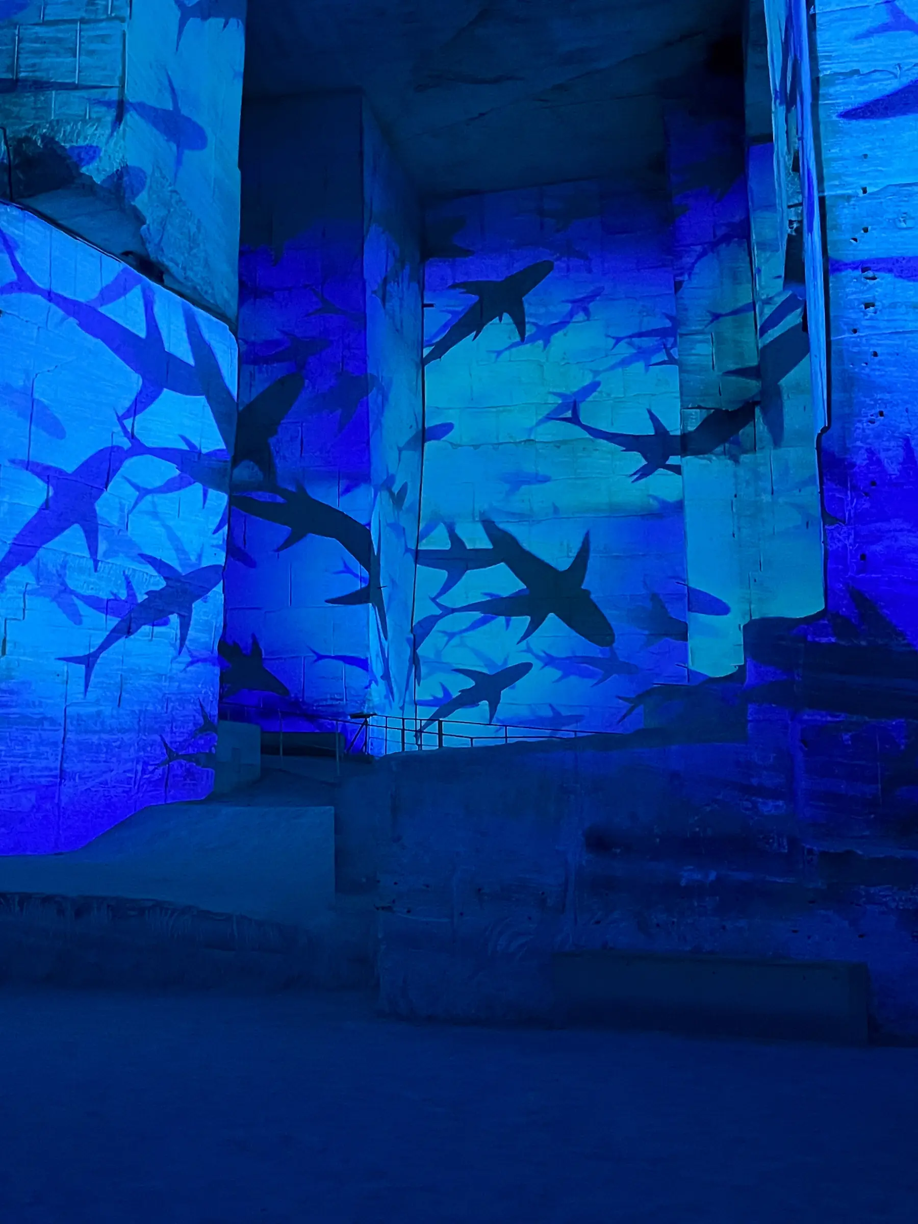 Carrières-des-Lumières : Océan, immersion dans le monde sous-marin