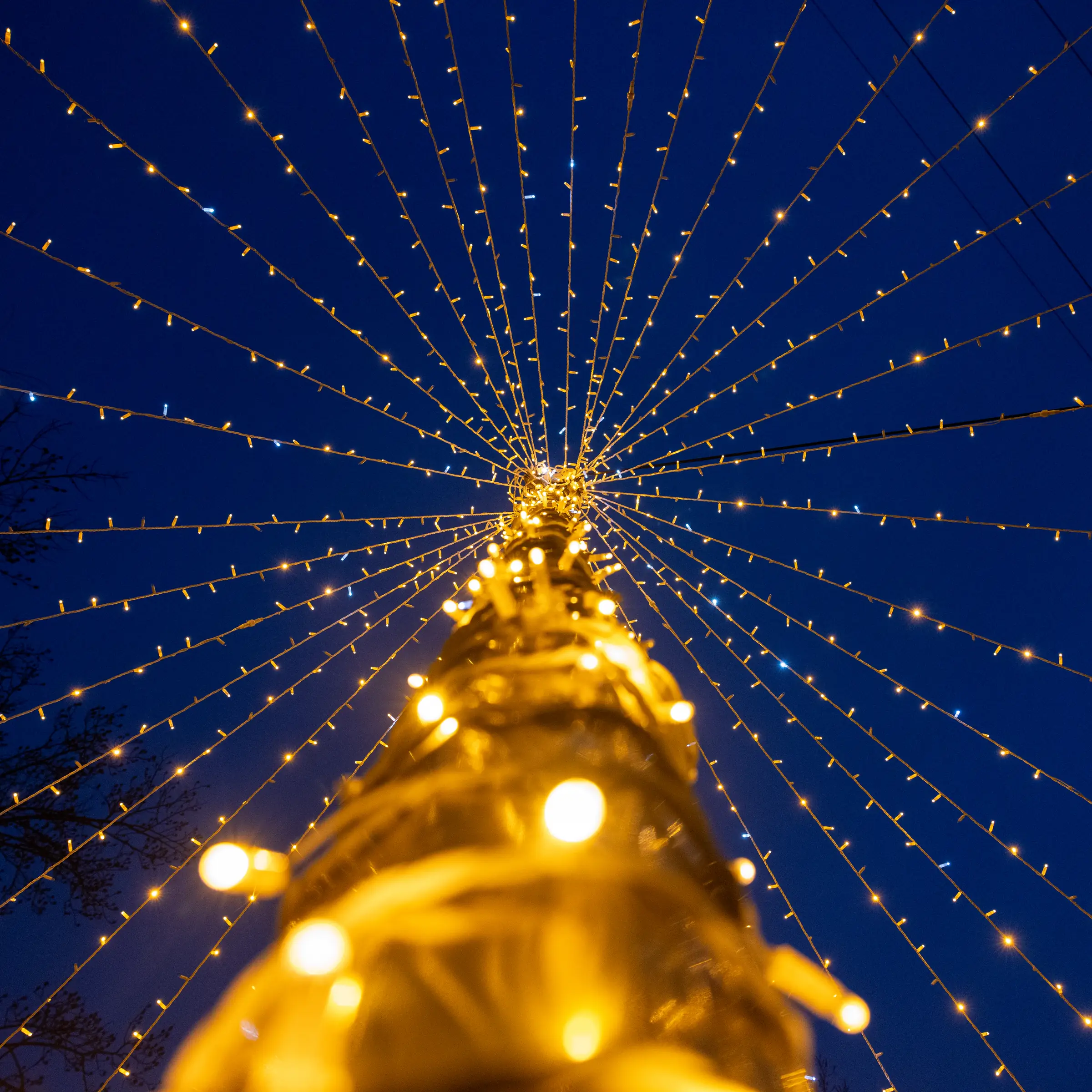 Noël au ZooParc de Beauval