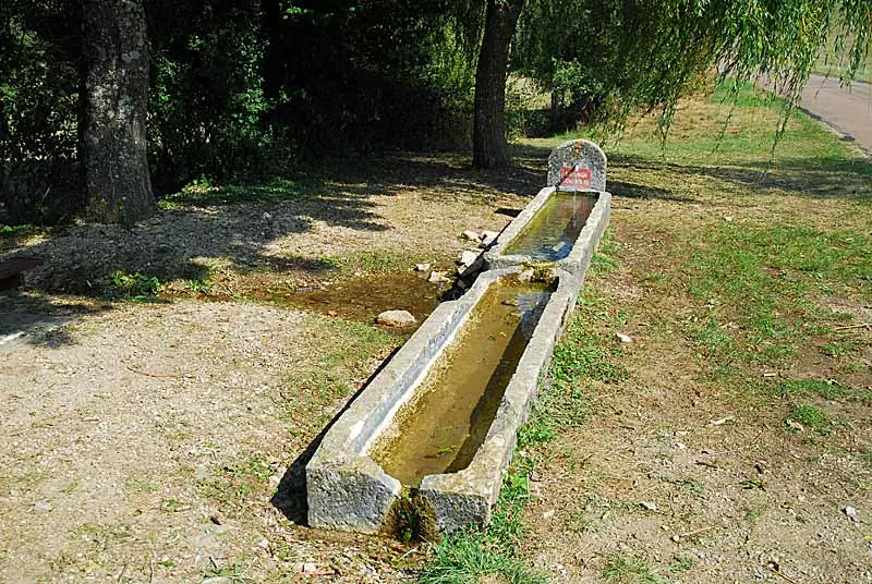 Auges d'eau vives à Poinsenot
