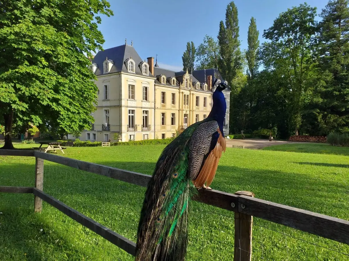 Ferme pédagogique de Ouézy