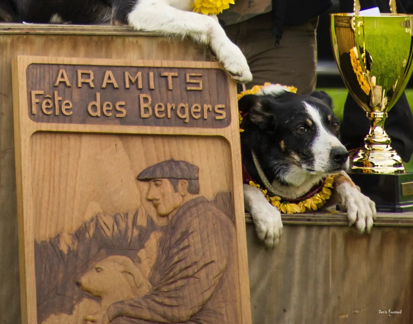 44ème Fête des Bergers