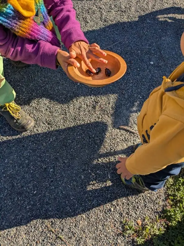Balades nature pour les tout-petits (de 0 à 3 ans)