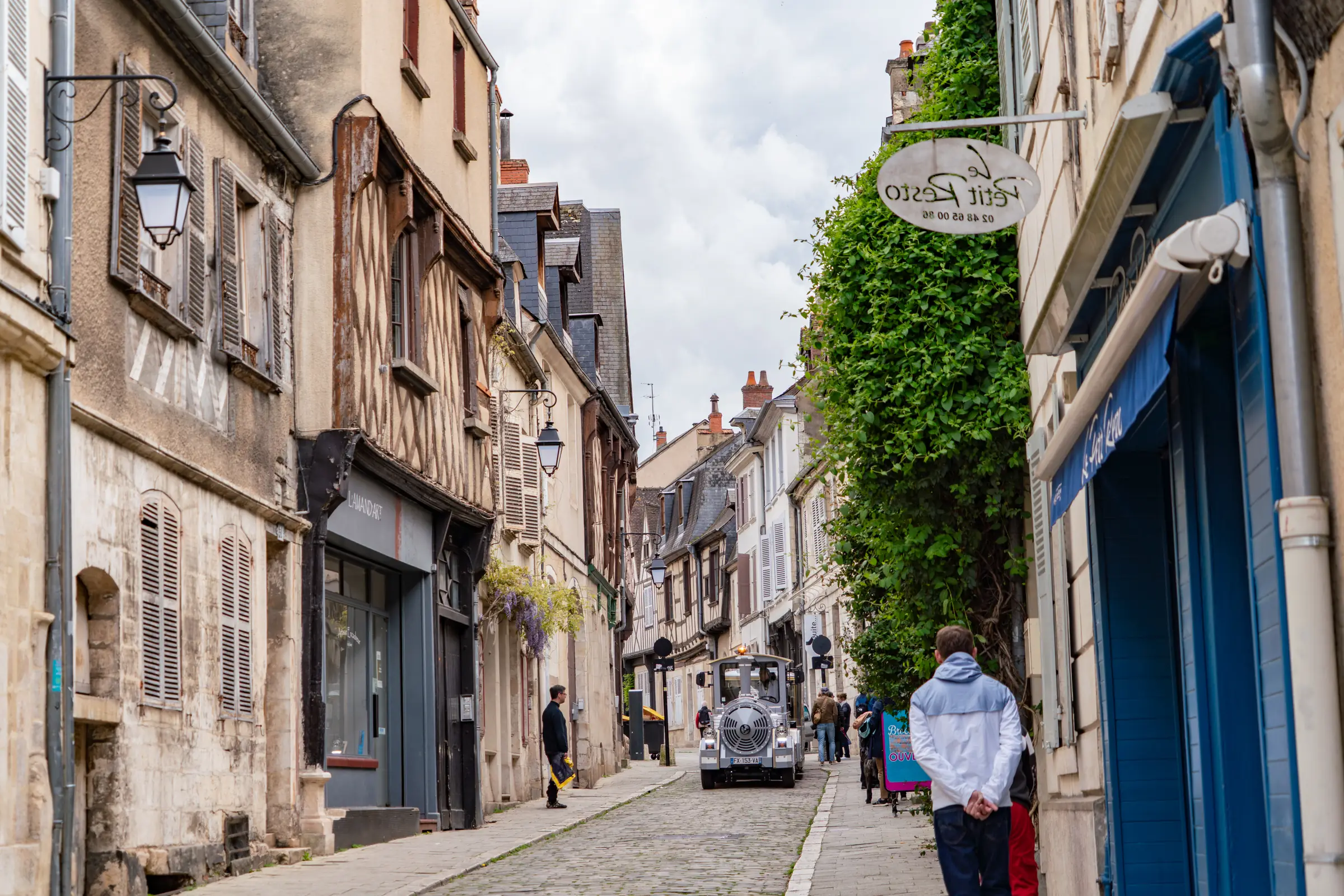 Visite de la ville en Petit train touristique