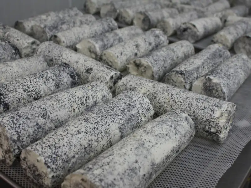 Atelier découverte : Les chevrettes et la magie du fromage