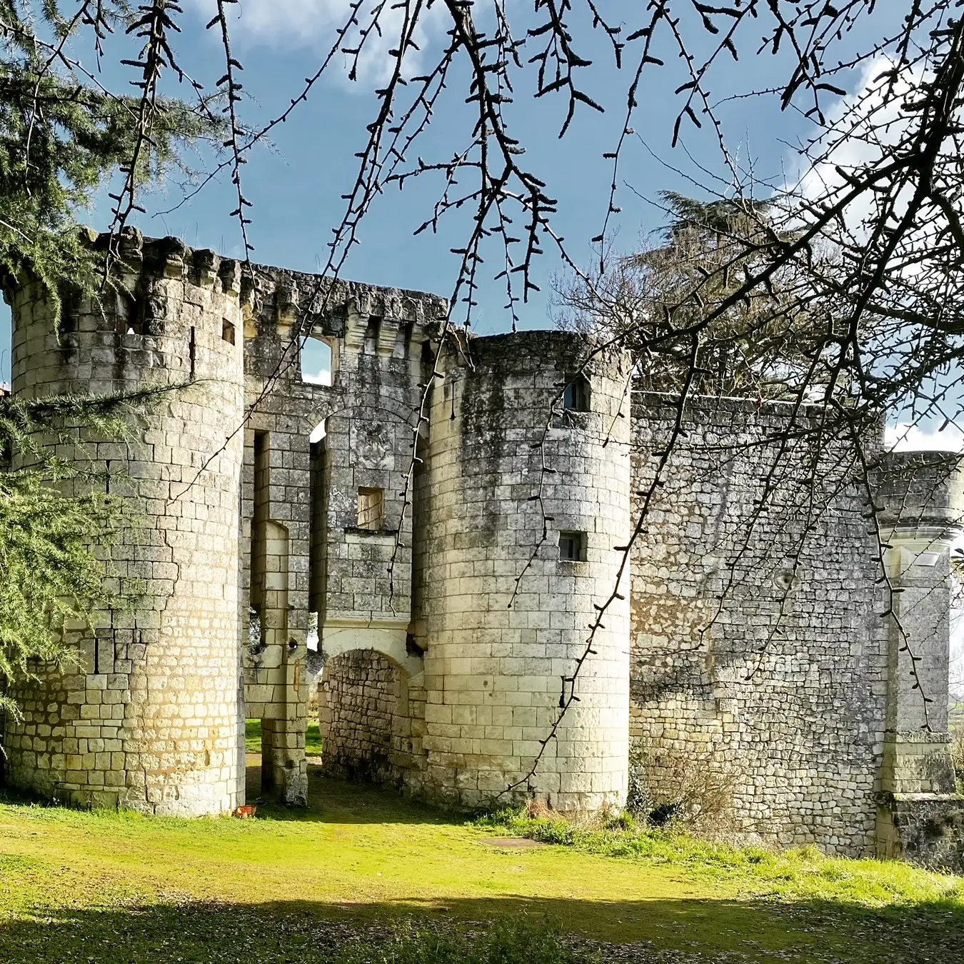 Château de la Roche-Martel