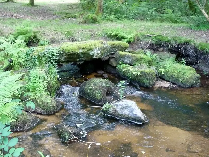 Pont médiéval 'dit romain'