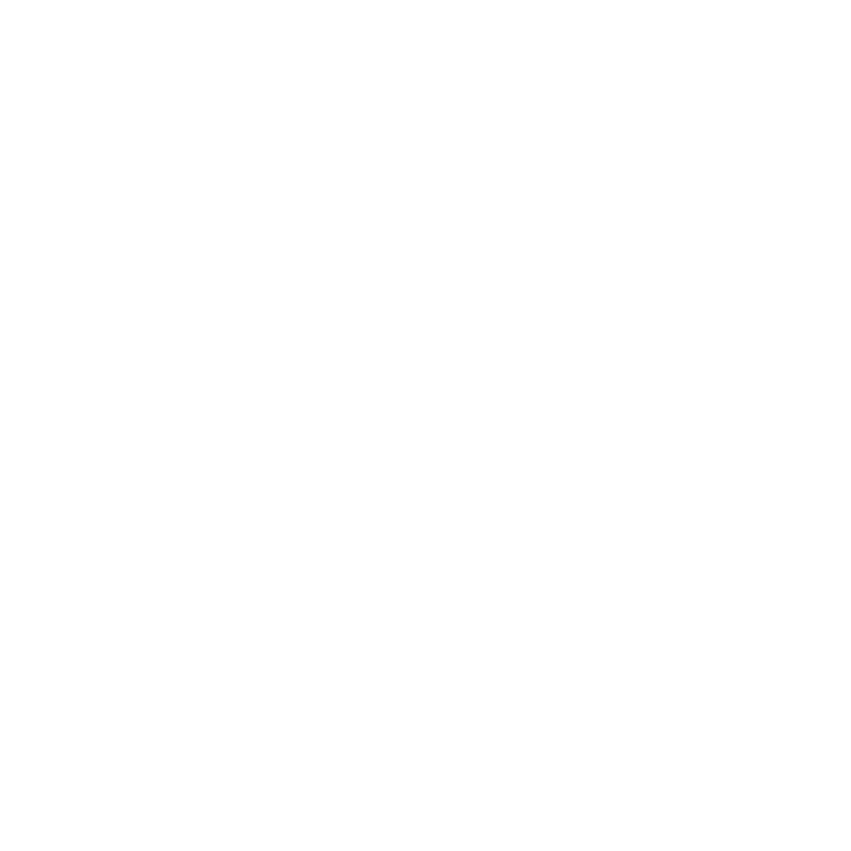 FESTIVAL PABLO CASALS - CAMPOUSSY